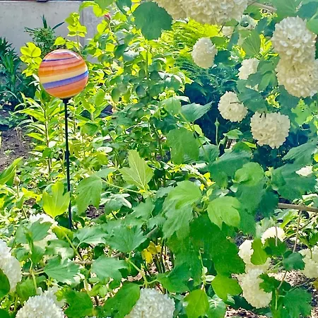 Apartment Güneitzblick Clenze