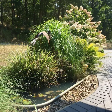 Gueneitzblick شقة Clenze