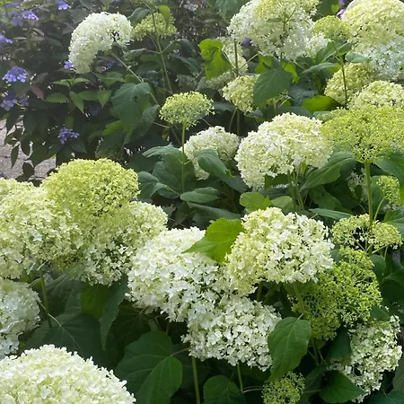 Güneitzblick Clenze